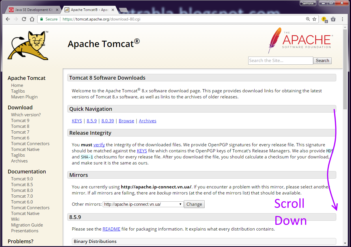 apache software foundation tomcat download